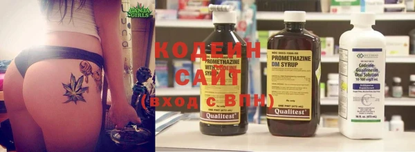 шишки Богородицк