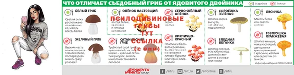 МДПВ Бронницы