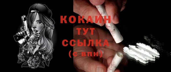 шишки Богородицк