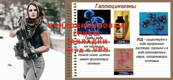 МДПВ Бугульма