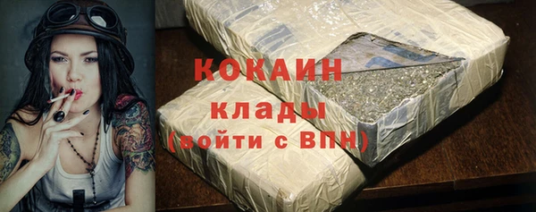 шишки Богородицк