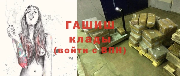 шишки Богородицк