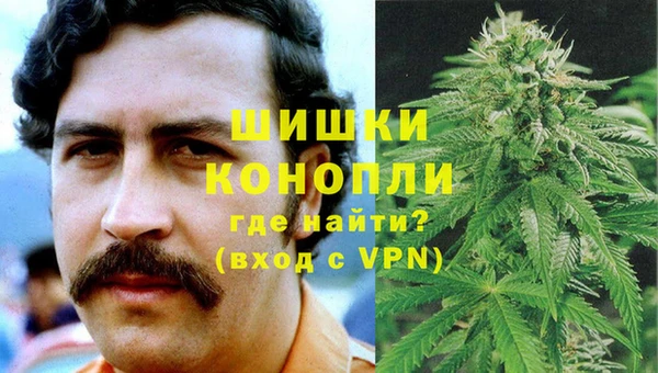 МДПВ Бронницы