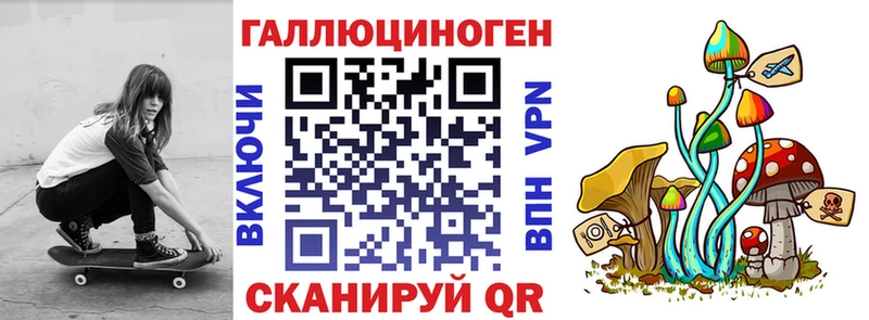 сколько стоит  Ворсма  Псилоцибиновые грибы GOLDEN TEACHER 